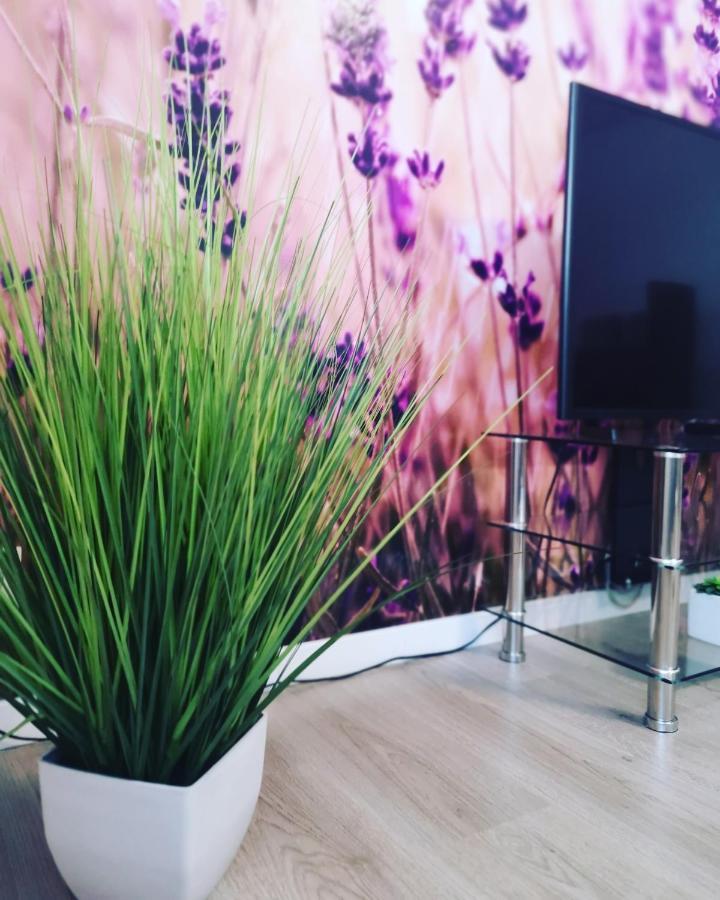 Ferienwohnung Lavanda روست المظهر الخارجي الصورة